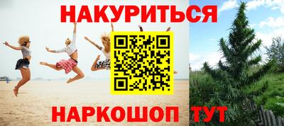 стафф Гусев