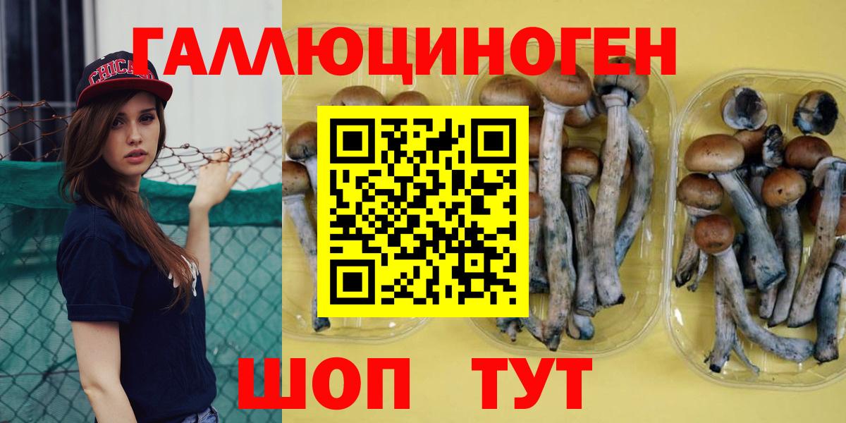 Минусинск  Псилоцибиновые грибы мухоморы  Вход с VPN 